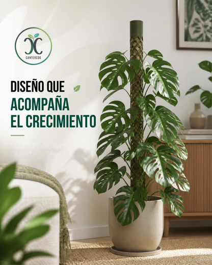 Tutor Modular Para Plantas Trepadoras